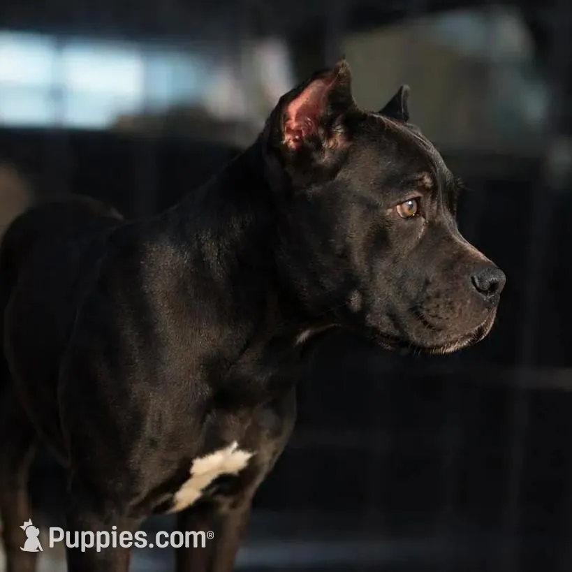 processed/b8f43558-06e0-4673-a737-7baee994aef2/listing/ecb20509-1b4f-4e1f-a35f-d13346768f65/4c1b7d26-5645-4239-83a8-c05beae73fd1