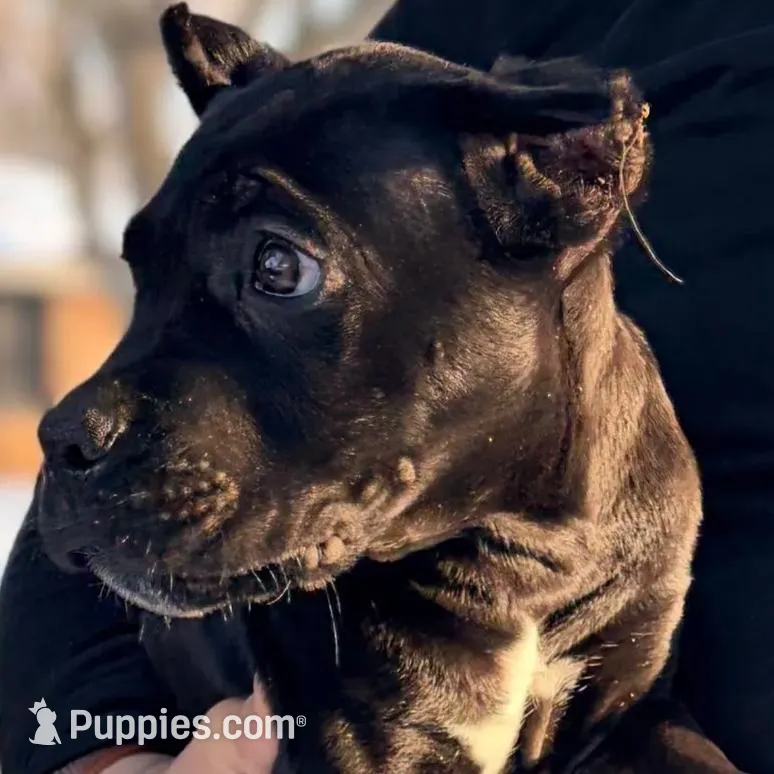 processed/b8f43558-06e0-4673-a737-7baee994aef2/listing/ecb20509-1b4f-4e1f-a35f-d13346768f65/7f2c5df3-0918-4c10-9177-f62e9869baf6