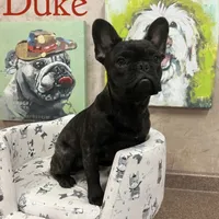 processed/b8feaa15-037a-4e48-bd4a-cb4b8e5d5b52/facility/1070daf6-e785-4d64-a8b2-073260b7570d