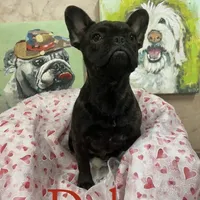 processed/b8feaa15-037a-4e48-bd4a-cb4b8e5d5b52/facility/f5faf252-c90d-4256-8a9b-832b7560cf54