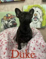 processed/b8feaa15-037a-4e48-bd4a-cb4b8e5d5b52/facility/f5faf252-c90d-4256-8a9b-832b7560cf54