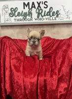 processed/b8feaa15-037a-4e48-bd4a-cb4b8e5d5b52/listing/62239bbd-d18a-458d-8478-ae3ab578affe/71a14c45-f093-4d8f-ab90-36ea46744551