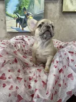 processed/b8feaa15-037a-4e48-bd4a-cb4b8e5d5b52/listing/62239bbd-d18a-458d-8478-ae3ab578affe/d17a7136-13a3-4508-8f17-17d4f90bfc5f