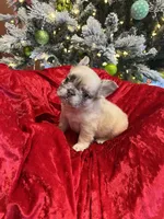 processed/b8feaa15-037a-4e48-bd4a-cb4b8e5d5b52/listing/62239bbd-d18a-458d-8478-ae3ab578affe/e894f0bb-8637-40c9-9280-25d900175a87