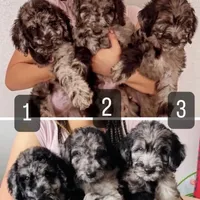 processed/b901ee9c-3af1-4fd3-a780-162767db5fbe/facility/1ac46d36-52f8-4fb9-b7ba-2d2135a10181