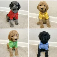 processed/b901ee9c-3af1-4fd3-a780-162767db5fbe/facility/555b5ee9-9d98-4e9d-8a40-05db918f5a31