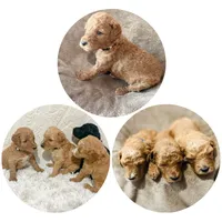 processed/b901ee9c-3af1-4fd3-a780-162767db5fbe/facility/84876c5d-7202-49b4-b293-c602784272a0