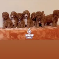 processed/b901ee9c-3af1-4fd3-a780-162767db5fbe/facility/86e68f4a-56a8-460e-a510-4f96cb4667e0