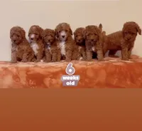 processed/b901ee9c-3af1-4fd3-a780-162767db5fbe/facility/86e68f4a-56a8-460e-a510-4f96cb4667e0