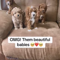 processed/b901ee9c-3af1-4fd3-a780-162767db5fbe/facility/a58953c0-c76e-4272-b0c4-d8af5147b630