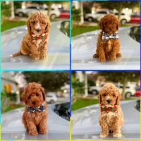 processed/b901ee9c-3af1-4fd3-a780-162767db5fbe/facility/bde760b7-f683-47e0-b484-f73a9b21b2df