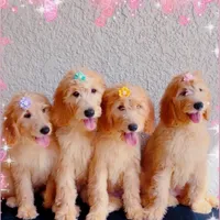 processed/b901ee9c-3af1-4fd3-a780-162767db5fbe/facility/cd641e3a-3ecb-43a0-9f0e-0992dc154346