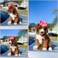 processed/b901ee9c-3af1-4fd3-a780-162767db5fbe/facility/e7027cb3-c4ad-4494-8f86-22237c7a173a