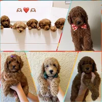 processed/b901ee9c-3af1-4fd3-a780-162767db5fbe/facility/eb553f8c-c1ed-4416-b1d6-c1d616e7a58f