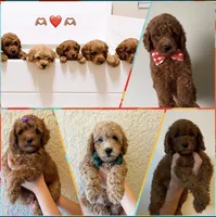 processed/b901ee9c-3af1-4fd3-a780-162767db5fbe/facility/eb553f8c-c1ed-4416-b1d6-c1d616e7a58f