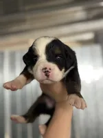 processed/b916049e-0adb-486a-a9e8-a7253886d8bf/listing/73843ce2-438f-4987-9421-528d43d850c3/14d2d09e-2940-4946-b621-4e7f12fe6d0a