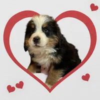 processed/b916049e-0adb-486a-a9e8-a7253886d8bf/listing/73843ce2-438f-4987-9421-528d43d850c3/4bf85a9a-33d1-4fb6-b42c-6ffa0113c080