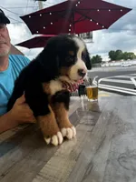 processed/b916049e-0adb-486a-a9e8-a7253886d8bf/listing/73843ce2-438f-4987-9421-528d43d850c3/8b46127a-f464-4732-8b40-bccdc4a50e06