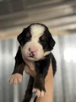 processed/b916049e-0adb-486a-a9e8-a7253886d8bf/listing/73843ce2-438f-4987-9421-528d43d850c3/d5638498-0061-42fa-803e-a4981c27746c