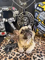 Big Papa, a male French Bulldog for sale in Milwaukee, WI – 6 of 10