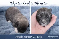 processed/b91d3713-95ed-439d-a4ba-d4d2552e7643/listing/123361da-6900-48b7-b958-a4adecca2929/808ad4f3-9f20-47fa-900e-d5ba3d72aead