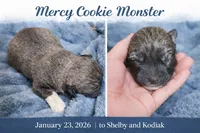 processed/b91d3713-95ed-439d-a4ba-d4d2552e7643/listing/3137580f-9dac-46f6-8954-f0a4d9a87621/bd28d7f8-6ab0-48fc-972c-bdfaf2acf90e