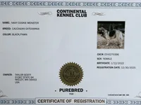 processed/b91d3713-95ed-439d-a4ba-d4d2552e7643/listing/613f5d9f-12f1-436b-a1ff-36bd92caae0c/053770fa-78d2-438c-bf75-cddbdc65fccf