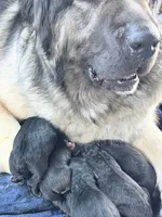 processed/b91d3713-95ed-439d-a4ba-d4d2552e7643/listing/613f5d9f-12f1-436b-a1ff-36bd92caae0c/058a8e78-2216-4e65-87a1-32c6391de52f