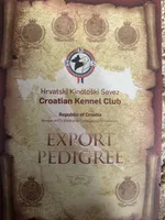 processed/b91d3713-95ed-439d-a4ba-d4d2552e7643/listing/613f5d9f-12f1-436b-a1ff-36bd92caae0c/2a17db1c-a41e-4cc0-ac7b-277b47cbab04