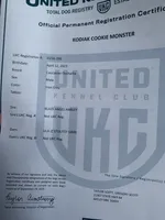 processed/b91d3713-95ed-439d-a4ba-d4d2552e7643/listing/a7050e6f-b25b-4d79-914a-1570dbff9da5/056d8b39-f732-403b-8b3b-d314a6997a7e