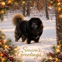 processed/b91d3713-95ed-439d-a4ba-d4d2552e7643/listing/a7050e6f-b25b-4d79-914a-1570dbff9da5/9a1a4cff-8221-4dd6-acc0-16c7500bd08b