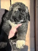 processed/b91d3713-95ed-439d-a4ba-d4d2552e7643/listing/ac7a4186-dfe0-4ab5-89c2-55d62e864e0d/26e374d1-d5de-404e-b459-f9800175f444