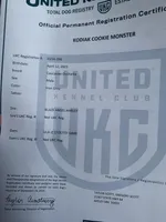 processed/b91d3713-95ed-439d-a4ba-d4d2552e7643/listing/ac7a4186-dfe0-4ab5-89c2-55d62e864e0d/93cdf2ce-71cb-4e30-b0ed-307df93b2f5f