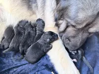 processed/b91d3713-95ed-439d-a4ba-d4d2552e7643/listing/ac7a4186-dfe0-4ab5-89c2-55d62e864e0d/c4294662-4ff4-4322-a19e-1e1407998664