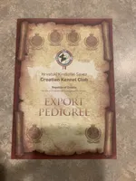 Wynter Cookie Monster, a female Caucasian Ovcharka for sale in Akeley, MN – Photo 3 of 7