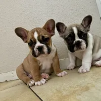 processed/b93148fe-6f83-4800-80db-b56f631c9983/facility/15dba181-bc99-4366-a8e6-51d6964fcee9