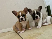 processed/b93148fe-6f83-4800-80db-b56f631c9983/facility/15dba181-bc99-4366-a8e6-51d6964fcee9