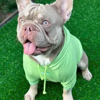 processed/b93148fe-6f83-4800-80db-b56f631c9983/facility/2ef98b85-9213-4030-a90e-ad74c0efde36