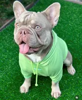 processed/b93148fe-6f83-4800-80db-b56f631c9983/facility/2ef98b85-9213-4030-a90e-ad74c0efde36