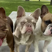 processed/b93148fe-6f83-4800-80db-b56f631c9983/facility/44a1fe23-08f3-4979-81aa-7fe11dbc77b8