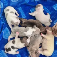 processed/b93148fe-6f83-4800-80db-b56f631c9983/facility/89aaef17-29c8-45a3-bed0-989896f0d1bb