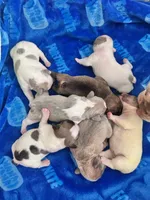 processed/b93148fe-6f83-4800-80db-b56f631c9983/facility/89aaef17-29c8-45a3-bed0-989896f0d1bb