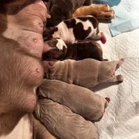 processed/b93148fe-6f83-4800-80db-b56f631c9983/facility/b314e023-1eed-4fff-a416-402e6364f2f1