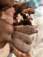 processed/b93148fe-6f83-4800-80db-b56f631c9983/facility/b314e023-1eed-4fff-a416-402e6364f2f1