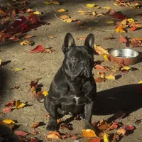 processed/b93148fe-6f83-4800-80db-b56f631c9983/facility/d36dac36-c2e2-4b92-87f4-bb3091d60df0