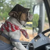 processed/b93148fe-6f83-4800-80db-b56f631c9983/facility/d760d83d-8c78-4c9d-9727-edd580cd4db2