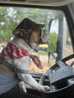 processed/b93148fe-6f83-4800-80db-b56f631c9983/facility/d760d83d-8c78-4c9d-9727-edd580cd4db2