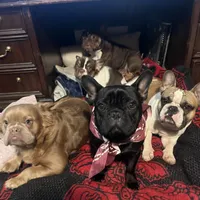 processed/b93148fe-6f83-4800-80db-b56f631c9983/facility/ff9db6b8-e12e-4509-a3e3-a57f5d312245