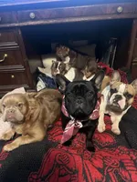 processed/b93148fe-6f83-4800-80db-b56f631c9983/facility/ff9db6b8-e12e-4509-a3e3-a57f5d312245