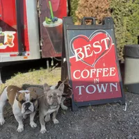 Jay jay, a male French Bulldog for sale in Southgate, MI – Photo 9 of 9